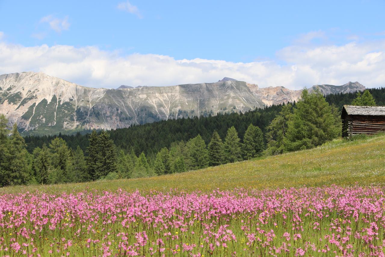 Hotel Alpenrose Dolomites La Valle Luaran gambar