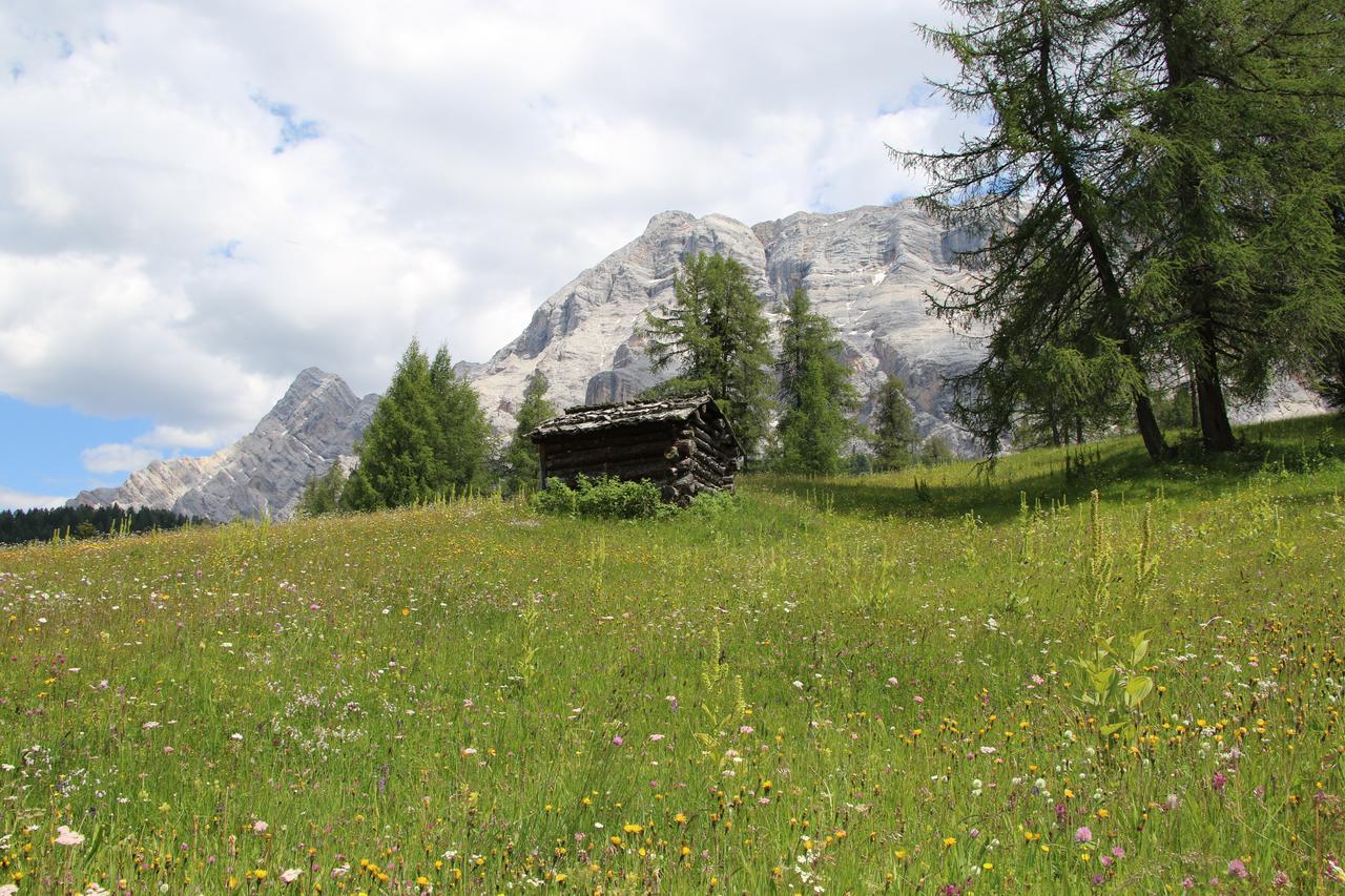 Hotel Alpenrose Dolomites La Valle Luaran gambar