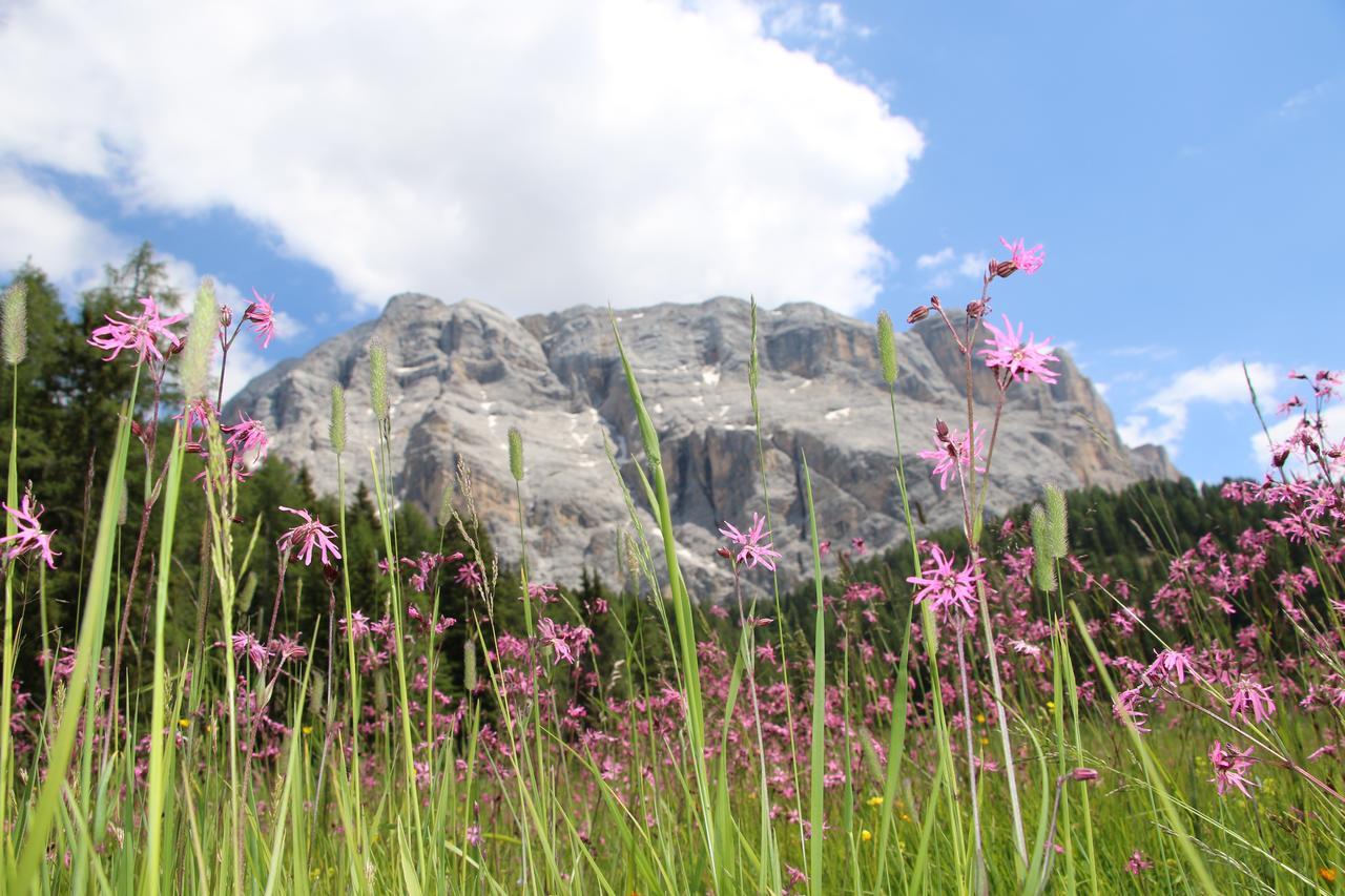 Hotel Alpenrose Dolomites La Valle Luaran gambar